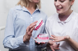 Can Diabetics Get Dental Implants? What You Need to Know Before Treatment 2 Dentist explaining dental anatomy using a 3D teeth model.