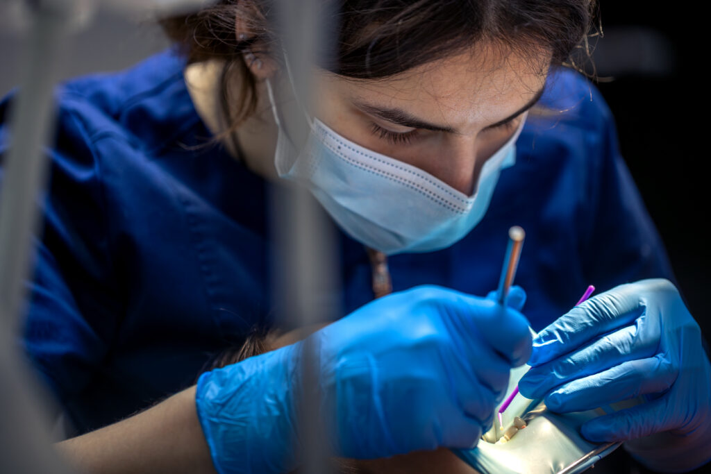 Bone Grafting 8 Bone Grafting dentist